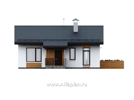 «Литен» - проект простого одноэтажного дома, планировка 2 спальни, с двускатной крышей - превью фасада дома